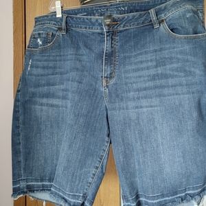 Lane Bryant Shorts